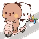 CatDuoRide