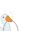 P2