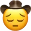 a_sadcowboy