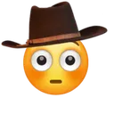 flushedcowboy flushedcowboy