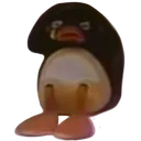 pingu_scared