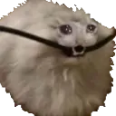 CordCat CordCat