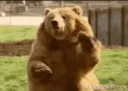 BearGIF