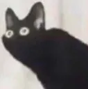 Catlook