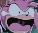 amy1