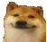 dogsmile