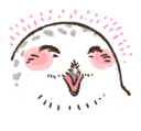 blushu blushu
