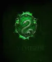 Slytherin Slytherin