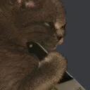 kittyshank Discord Emoji