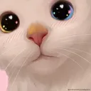 Catto3 Discord Emoji