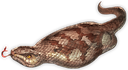 tsuchinoko