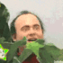 lurkspaghet