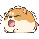 shibayawn
