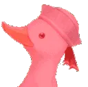 duckdance