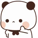 amiruspandastop2