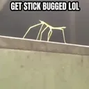 lolgetstick