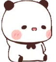amiruspandashy