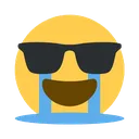 sobglasses