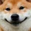 Shiba_Smile_FDO