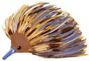 echidna