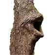 LOGGERS