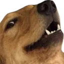 Jebarked
