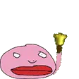 pajaDink pajaDink