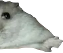 florp2