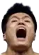 luface
