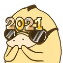 duck2021