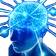 bigbrain