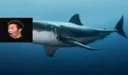 shark_pog_1 Discord Emoji