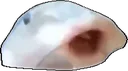 pogfish Discord Emoji
