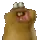 pp458