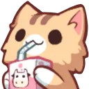 catSip