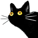 thisisbluwu