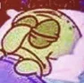 squidsleep
