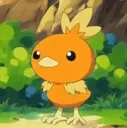 torchic torchic