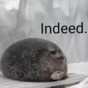 indeed indeed