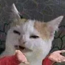 wtf