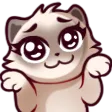 loeyaSHRUG loeyaSHRUG