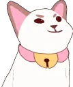 pupooo