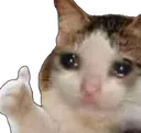sadcatthumbsup