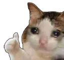 Sadcatok sadcatok Discord Emoji