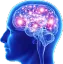 blue_brain Discord Emoji