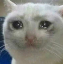 sad Discord emoji