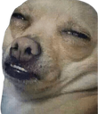 Dumbass Discord emoji