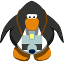 Penguin_Camera