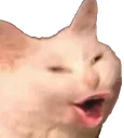 echpog