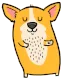 CorgiDance